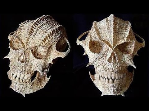 10 Most Bizarre Skulls & Skeletons Discovered!