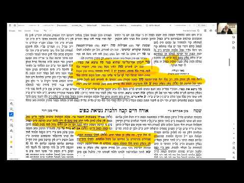 Priestly Blessing (נשיאת כפים) in The Diaspora | Weekly Shiur by Harav Asher Weiss Shlita | 5784