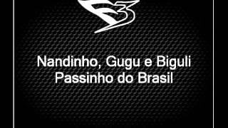 Mcs Nandinho, Gugu Part. Biguli Monobloco - Passinho do Brasil [DJ ISAAC 22]