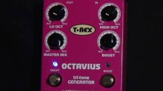 Video thumbnail for T-Rex Octavius by ProGuitarShopDemos