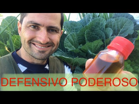 ANDIROBA OIL DEFENDS YOUR GARDEN FROM EVERYTHING