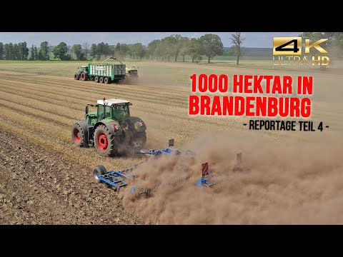 Ruhe Agrar Teil 4: Standort Vehlow - GPS-Ernte mit Claas Jaguar (Fendt Traktoren + Osters & Voß)