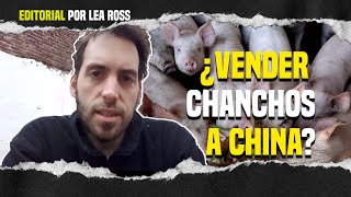 Argentina - China : ¿El nuevo agromodelo? 🐷