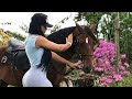 Who S Wish Be That Fucking Horse