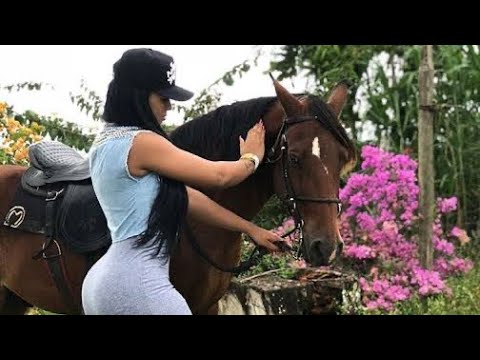 Who’s wish be that fucking horse