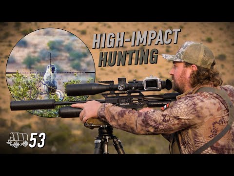 STRAIGHT into the Action! Monkey & Baboon Hunting in Paradise | The Oxwagon Diaries Returns