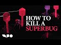 Fighting Antibiotic Resistance With Phage Therapy