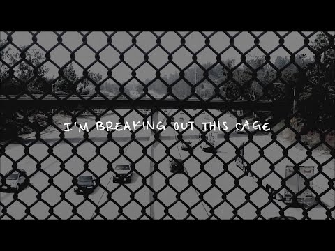 Cage
