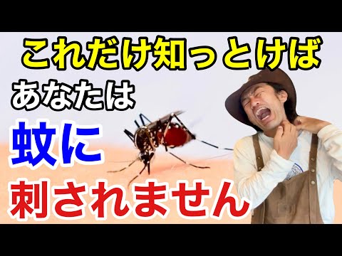 侵入者を自然に撃退する最高の蚊よけ植物13選  庭園