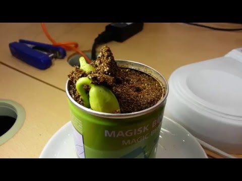 Kapag sa pag-inom yogurt na may kanela para sa pagbaba ng timbang mga review Download Jillian Michaels upang mawala ang timbang sa 30 araw download