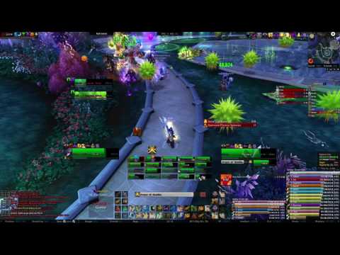 Revival X vs High Botanist Tel'arn Mythic (Holy Priest PoV)
