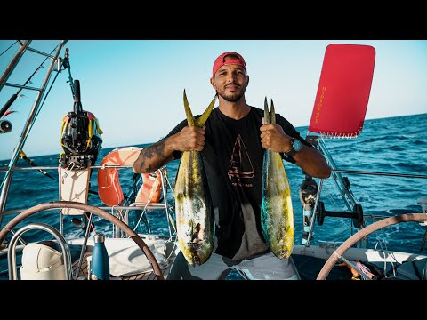 HONEY, I caught TWO (BIG) FISH !