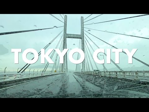 Shutoko Wangan Line in Tokyo - city view and music