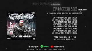 Aprovechare Lyrics English Translation