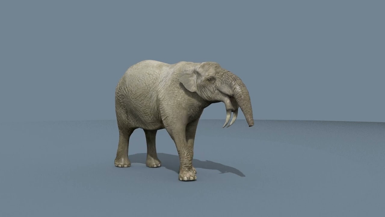 Deinotherium Thraceiensis HD - animazione 3D Modello 3D