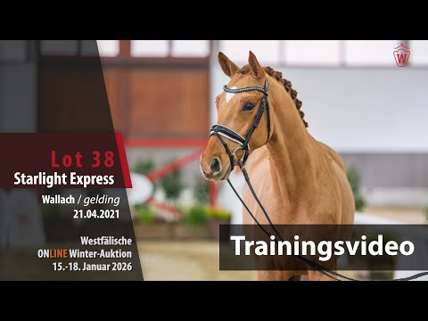 Online Winter-Auktion 2026 Training Lot 38 Starlight Express Wallach v. Sir Heinrich - Fürst Piccolo