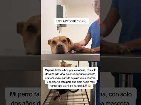 LEE LA DESCRIPCIÓN👇🏻