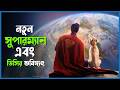 This New Superman Movie Will Change The Future Of DC Explained In Bangla