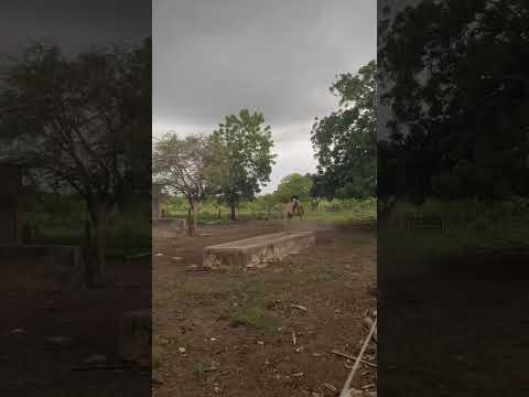 raio caiu na cidade de Angical na Bahia