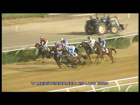 Galoppo corse del 25 Luglio 2020