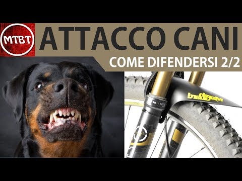 Malattia dolore Mal di collo febbre 38
