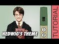 Tin Whistle Songs: Harry Potter (Hedwig's Theme) - Tutorial