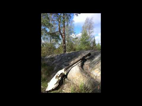 Unfinished studio piece by Imre Peemot 2006-2007 (Please read description before listening)