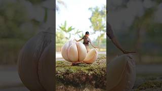 Download lagu creative garlic video mp3