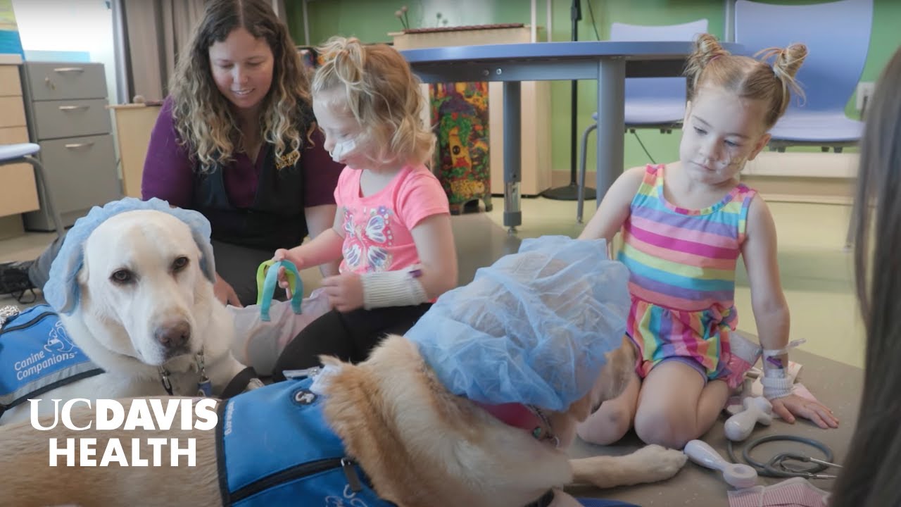 Thumbnail preview of Panda Cares Center of Hope at UC Davis Children's Hospital