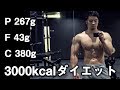 【3000kcal】筋力と筋量を落とさず減量するための食事【マクロ】