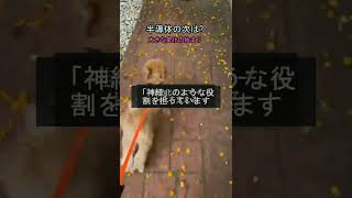 #株式 #日本株 #株式投資 #投資初心者 #資産運用 #高配当株 #成長株 #デイトレード #高配当株 #新NISA #日経平均
