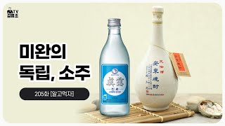 소주의 역사와 시대별 변천사