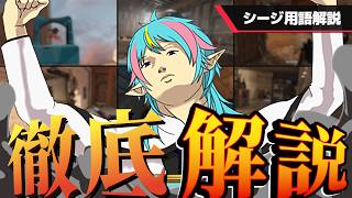 【呪文生活終了】明日には勝手に使ってる!シージの用語を徹底解説