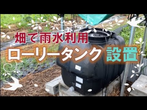 雨水収集装置を設置できるのは誰ですか?制限がある場合、家庭でも使用できますか？  庭園