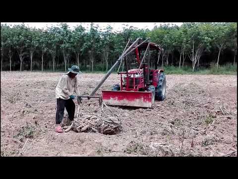 รีวิวลดลงค้อน ความคิดเห็นของค้อนของ ธ อร์