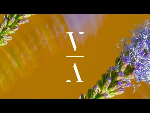 LJ MASE - Save Me feat. Jessie Lee Thetford