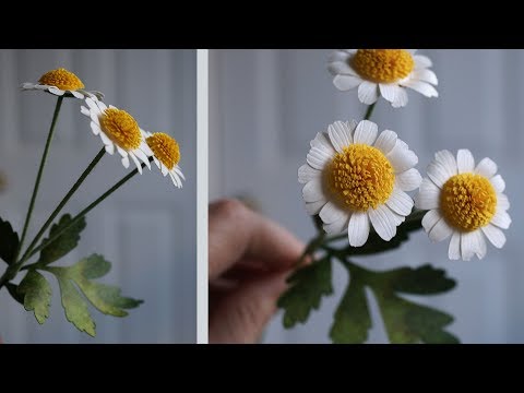 Paper Flower Tutorial: How to Make Feverfew with Your Cutting Machine