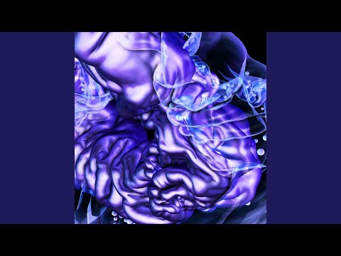 Thunderscan Vip (Bonus Track)