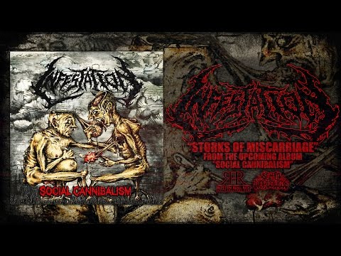 INFESTATION - STORKS OF MISCARRIAGE [SINGLE] (2016) SW EXCLUSIVE