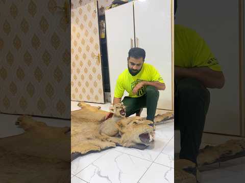 Lion cub sad for mother😭#ytshorts #petlover #shorts #india #viral #death #lion #simba #sad #yt
