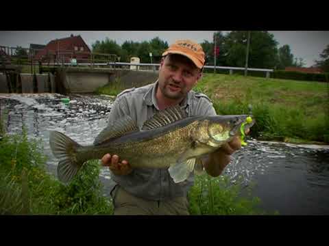 Matze Koch: Summer heat, oxygen shortage and water protection