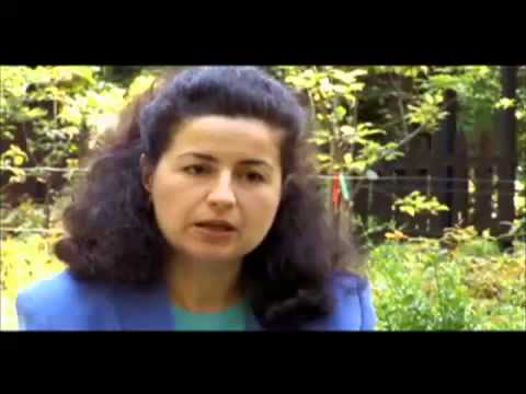 Moringa - The Miracle Tree - Discovery Channel documentary