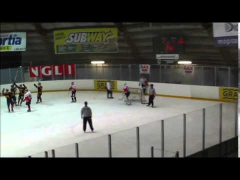 15.3.2015 KOOVEE - Red Ducks maalikooste