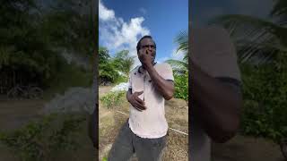 This Guyanese Brother has a message for Africans in Africa 😎 #africa #guyana #message #unity