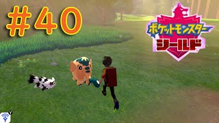 #40【ポケモンソード・シールド】ワクワクが止まらない！コンプリートを目指せ！『まずは、シールドをPLAY』【ふんわり実況】