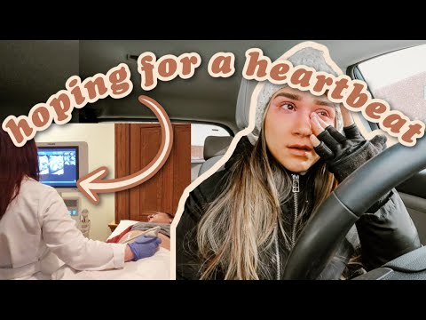 FIRST ULTRASOUND!!! 6 WEEKS PREGNANCY UPDATE, HEART BEAT, DUE DATE + SYMPTOMS