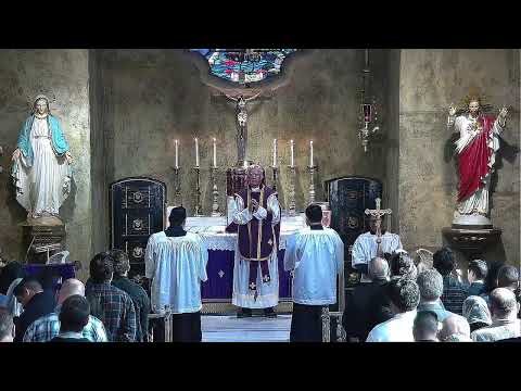 10:30 am Missa Cantata -- Dominica II Adventus