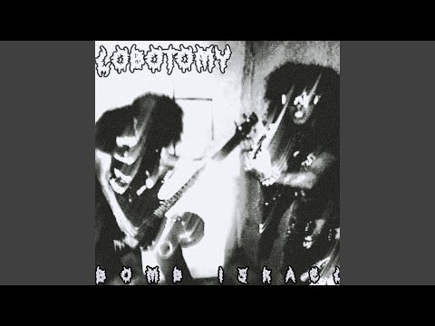 Le zizi du président (Studio demo)