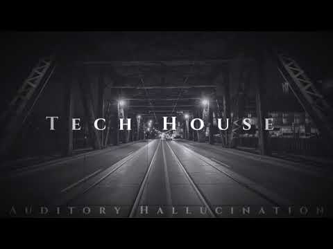 Runnin Roll - Auditory Hallucination (Original Mix) Tech house 2018