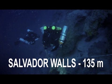 Diving the Salvador Walls - 130 m / 426 ft
